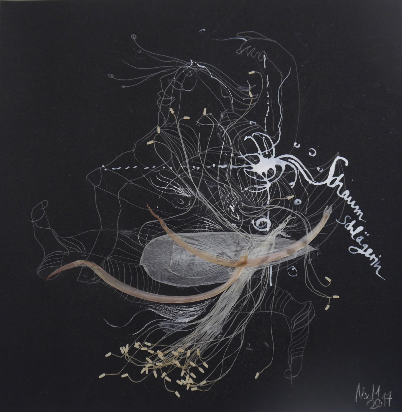 Schaumschlägerin Collage20x202017